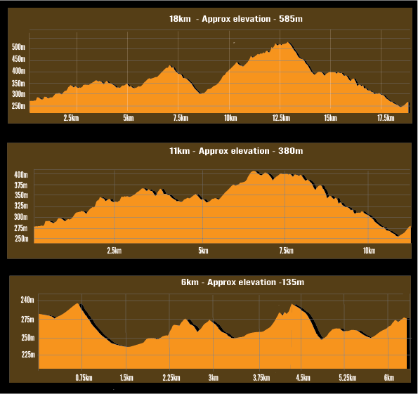 STBB_Elevations 2025